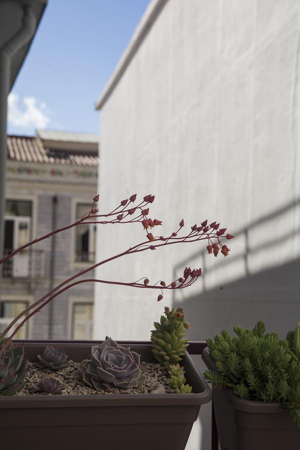 Lisbon Poets Inn Kültér fotó